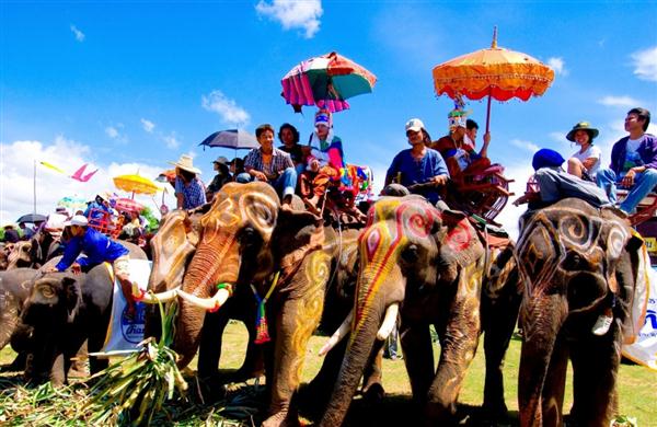 เยือนสุรินทร์ ถิ่นเมืองช้าง สัมผัสวิถีชีวิตแห่งชาวเมืองช้างอย่างถึงใจ